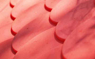 Wombleton plastic roof costs